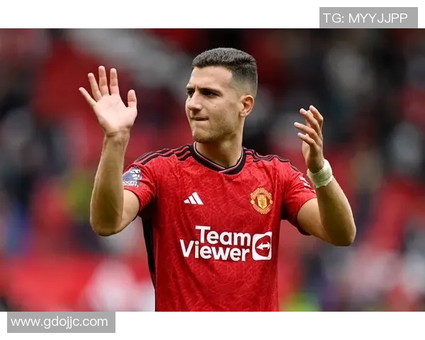 足球场上传奇球星众多 每一位都有着独特的历史与辉煌成就